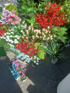 1000128293-1-rotated