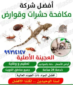 IMG-20230805-WA0000-1