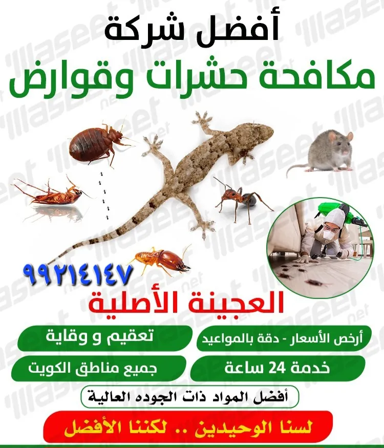 IMG-20230805-WA0000-1