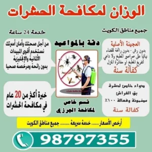 IMG_20250410_221539_657