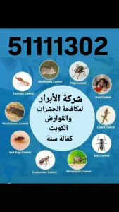 IMG_20250524_191134_926