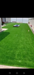 Screenshot_20220616_193112_com.android.gallery3d