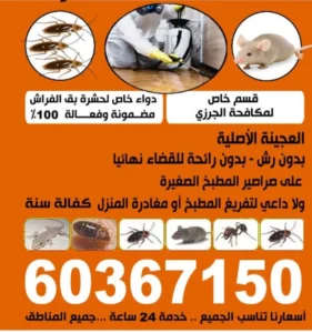 Screenshot_٢٠٢٤١٢٠٩_٠٠٢٨٤٣_Gallery