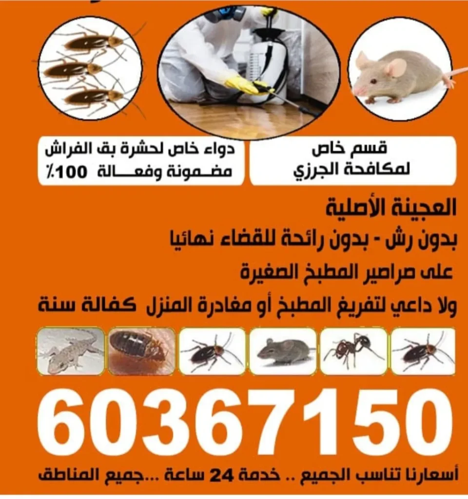 Screenshot_٢٠٢٤١٢٠٩_٠٠٢٨٤٣_Gallery