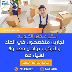 IMG_20250203_191735_777